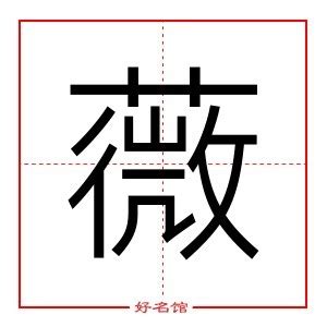 薇 五行|薇字的五行属什么